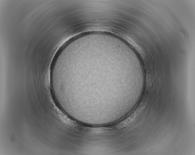 X0000112180988200908281358