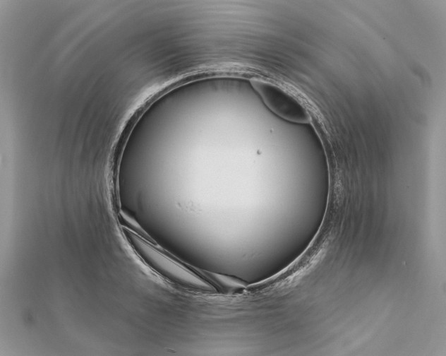 X0000112180989200908281358