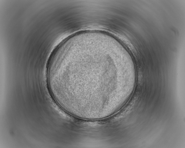 X0000112180990200908281358