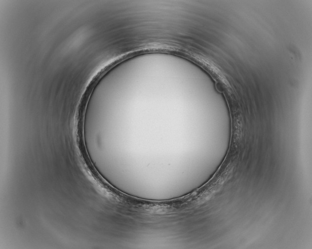 X0000112180991200908281358