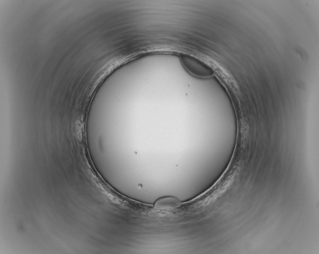 X0000112180993200908281358