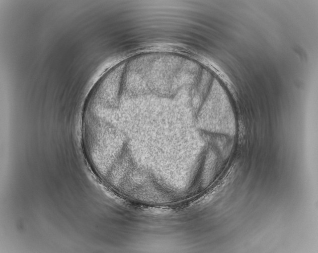 X0000112180994200908281358