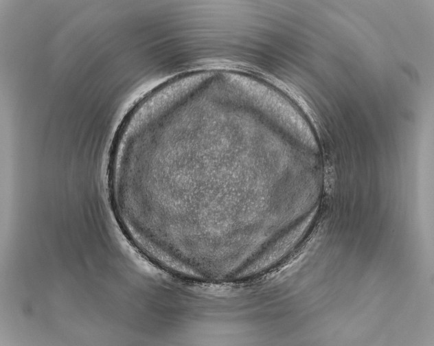 X0000112180995200908281358