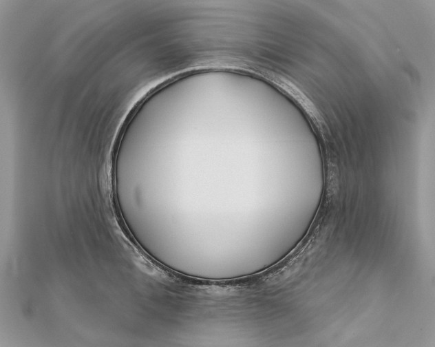 X0000112180996200908281358