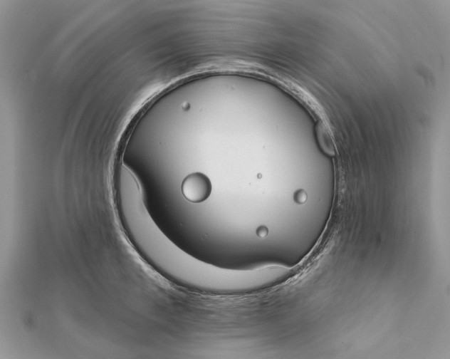 X0000112180997200908281358