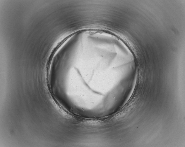 X0000112180998200908281357