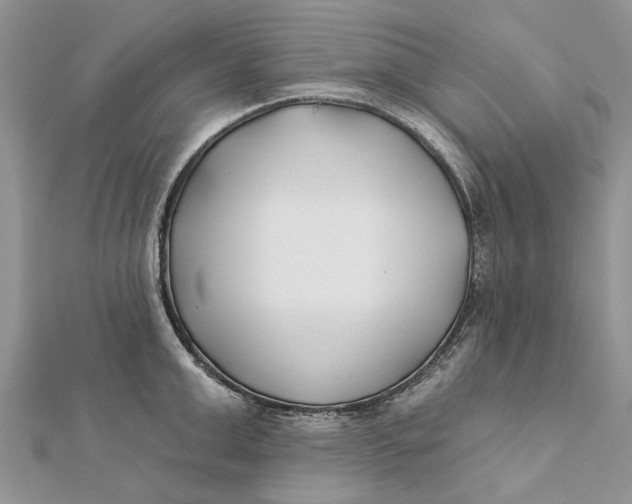 X0000112180999200908281357