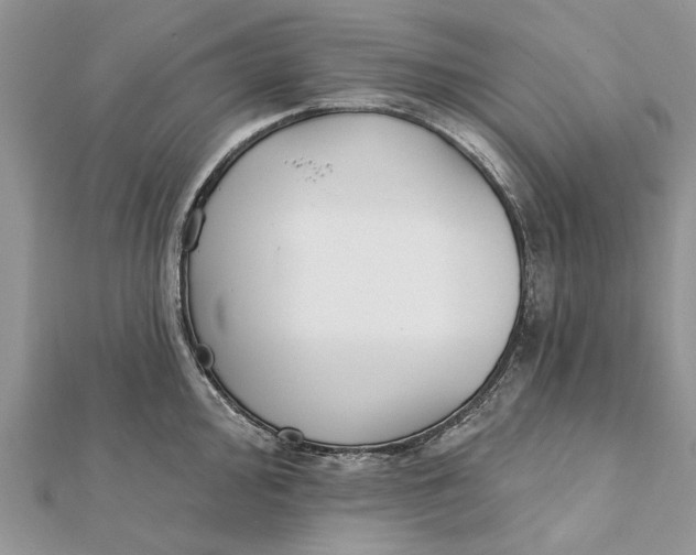 X0000112181000200908281357