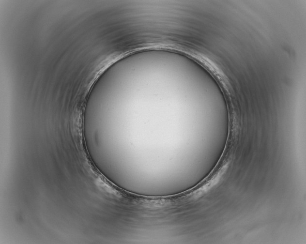 X0000112181001200908281357