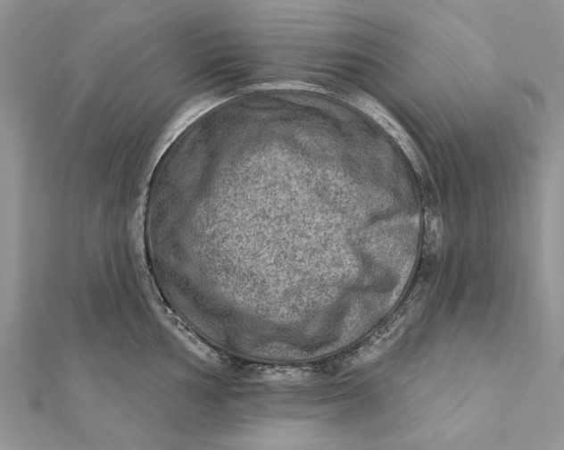 X0000112181002200908281357