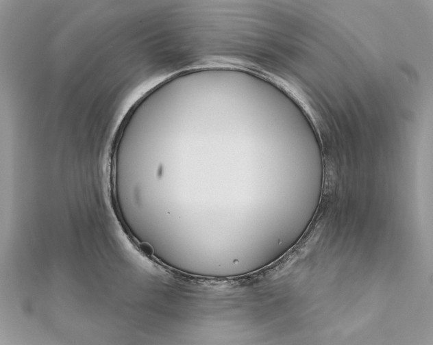 X0000112181003200908281357