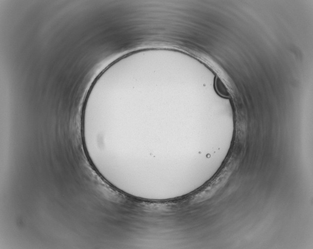 X0000112181004200908281357