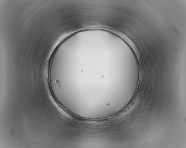 X0000112181005200908281357