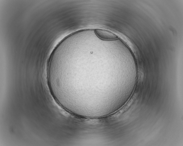 X0000112181006200908281357