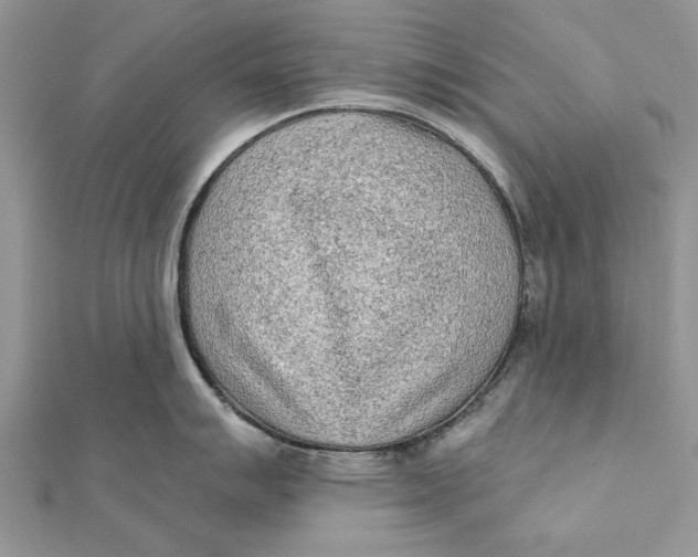 X0000112181007200908281357