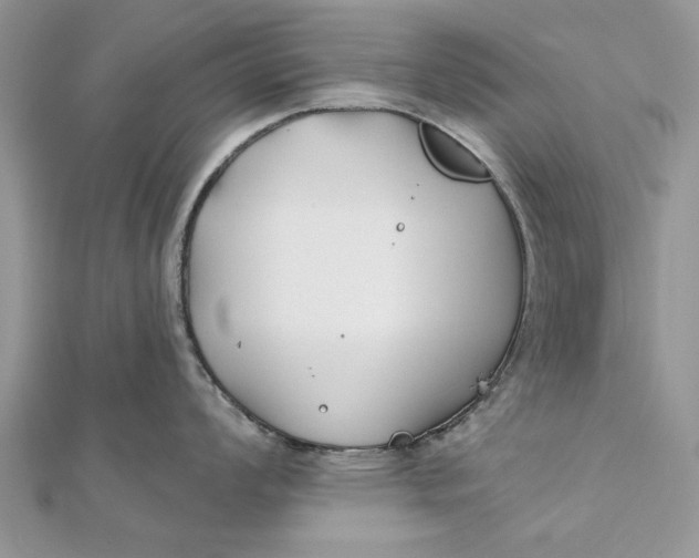 X0000112181008200908281357