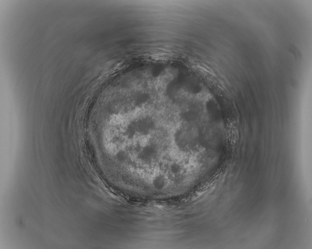 X0000112181009200908281357