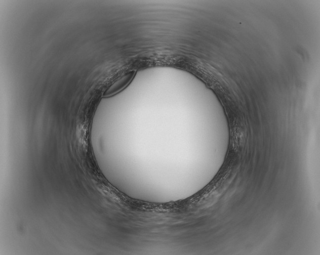 X0000112181010200908281357