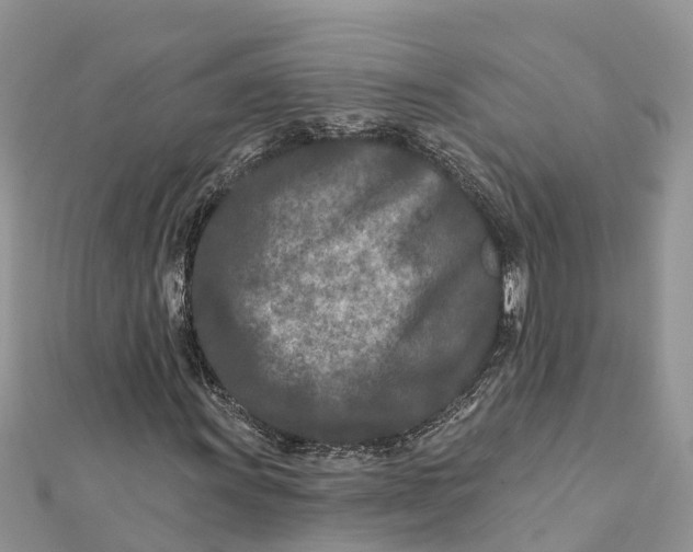 X0000112181011200908281357