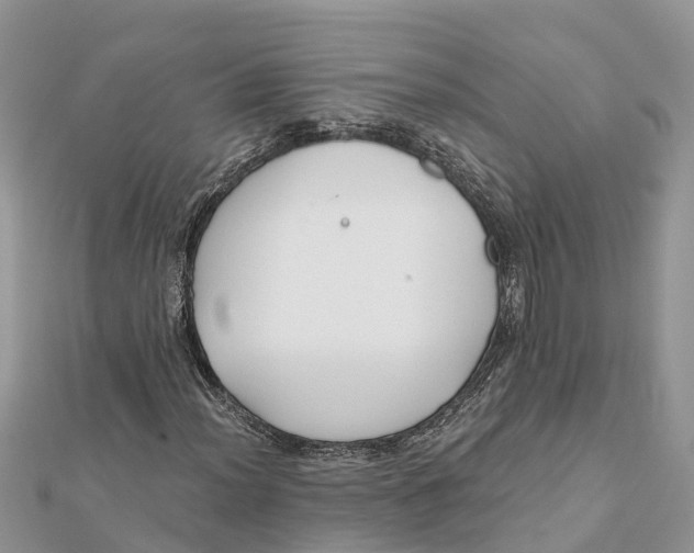 X0000112181012200908281357