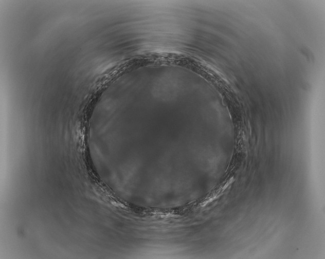 X0000112181013200908281357