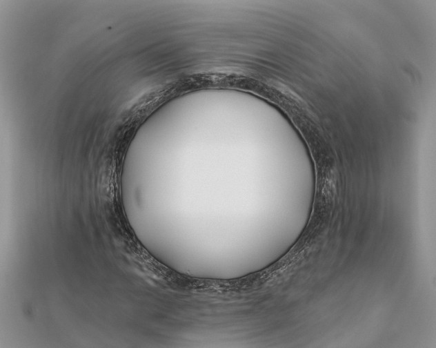 X0000112181014200908281357