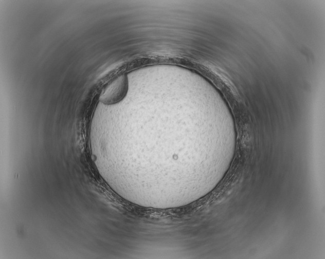 X0000112181015200908281357