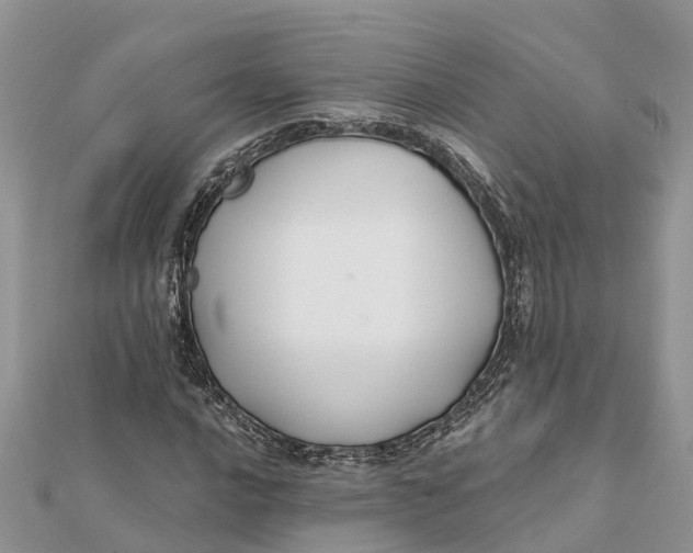 X0000112181016200908281357