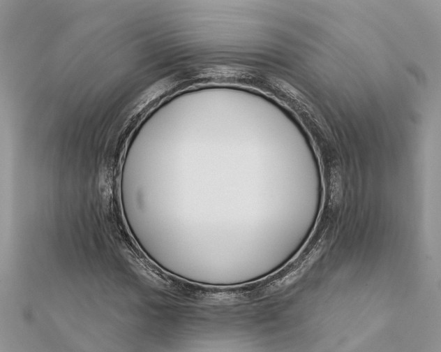 X0000112181017200908281357