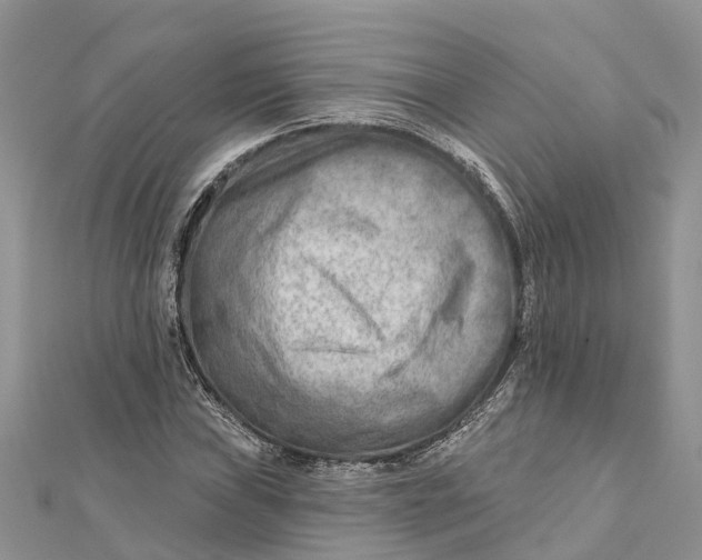 X0000112181019200908281357