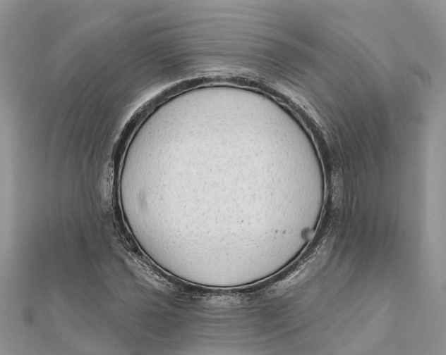 X0000112181021200908281357