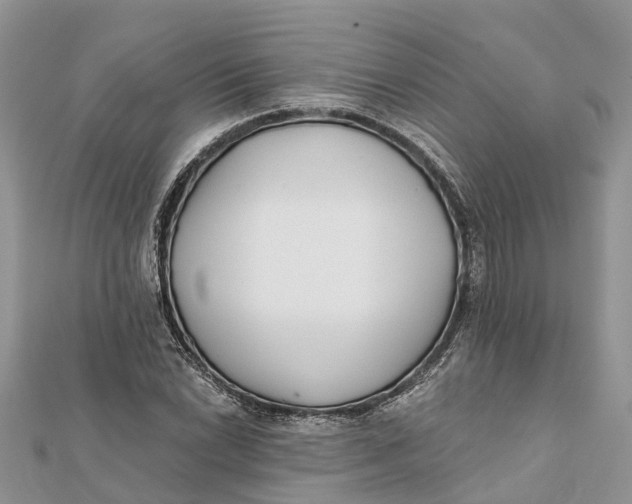 X0000112181022200908281357