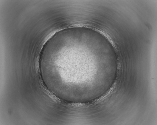 X0000112181023200908281357