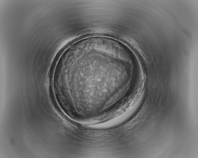 X0000112181024200908281357