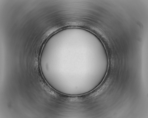 X0000112181025200908281357