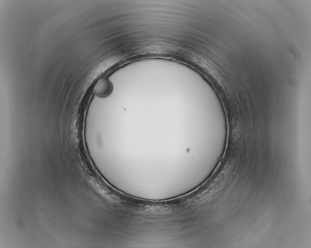 X0000112181026200908281357