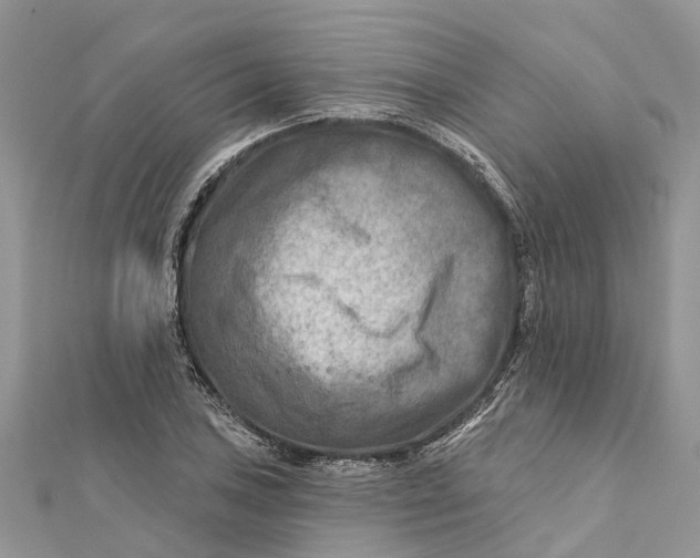 X0000112181027200908281357