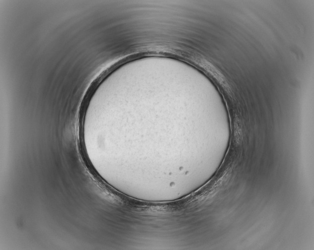 X0000112181028200908281357