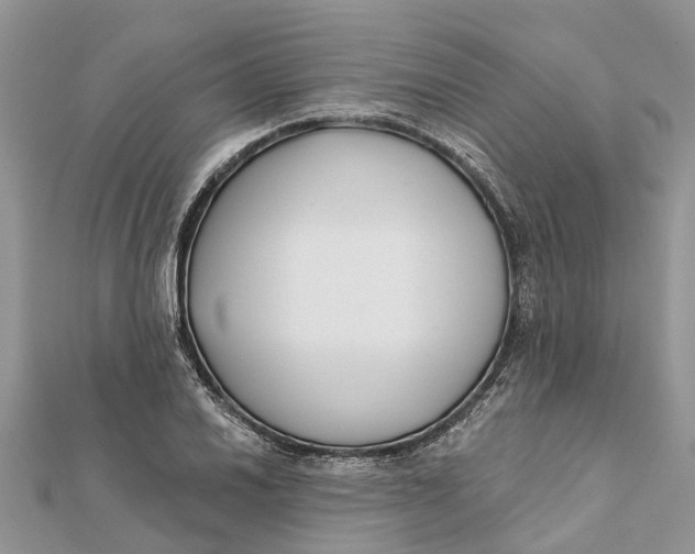 X0000112181030200908281357