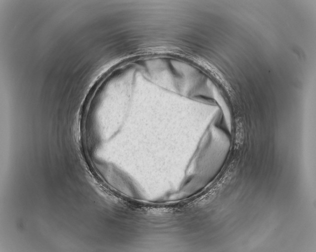 X0000112181031200908281357