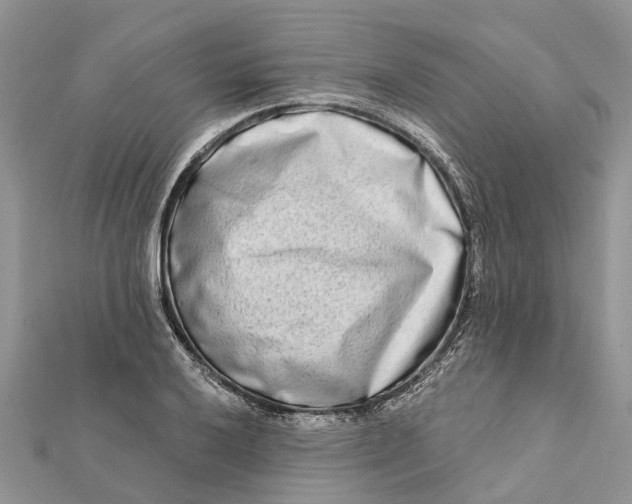 X0000112181032200908281357