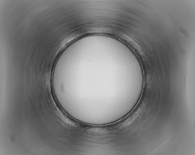 X0000112181033200908281357