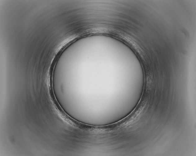 X0000112181034200908281357