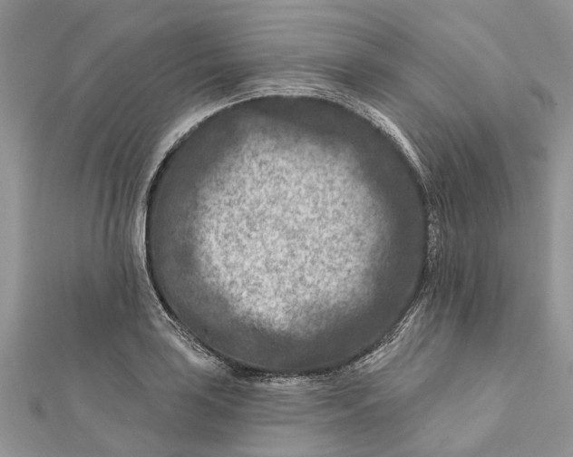 X0000112181035200908281357