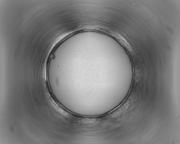 X0000112181036200908281357