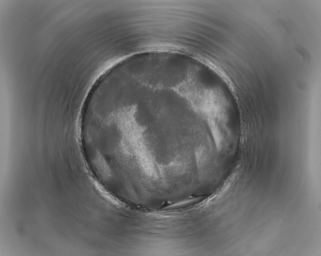 X0000112181037200908281357