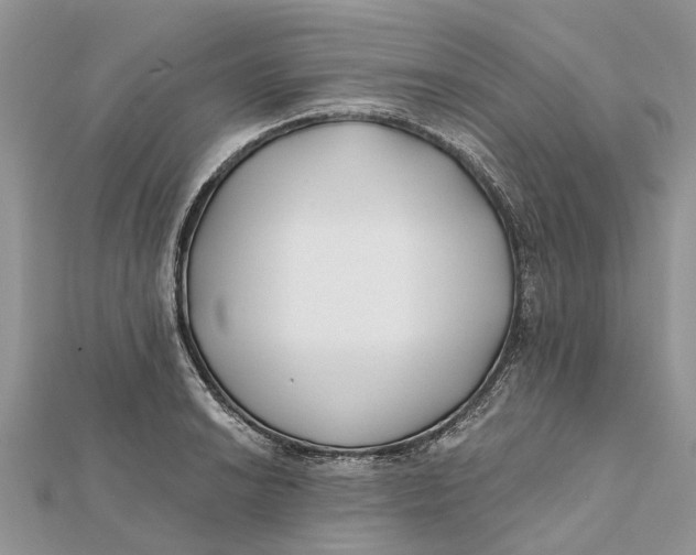 X0000112181038200908281357