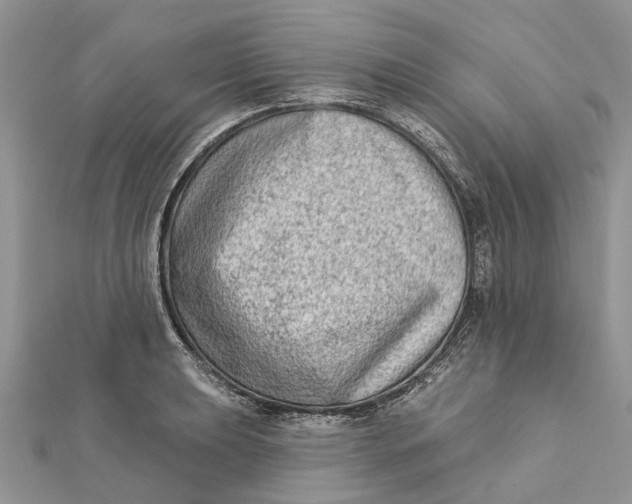 X0000112181039200908281357