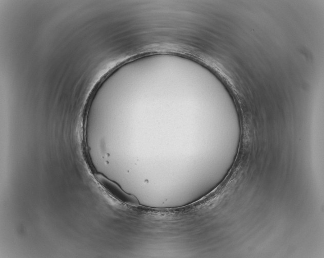 X0000112181040200908281357