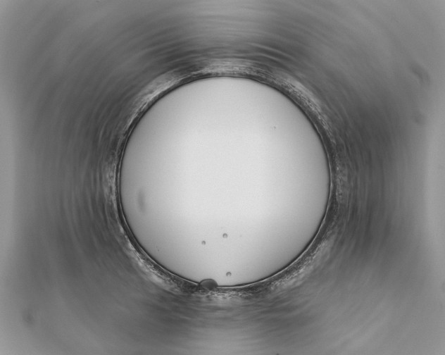 X0000112181041200908281357